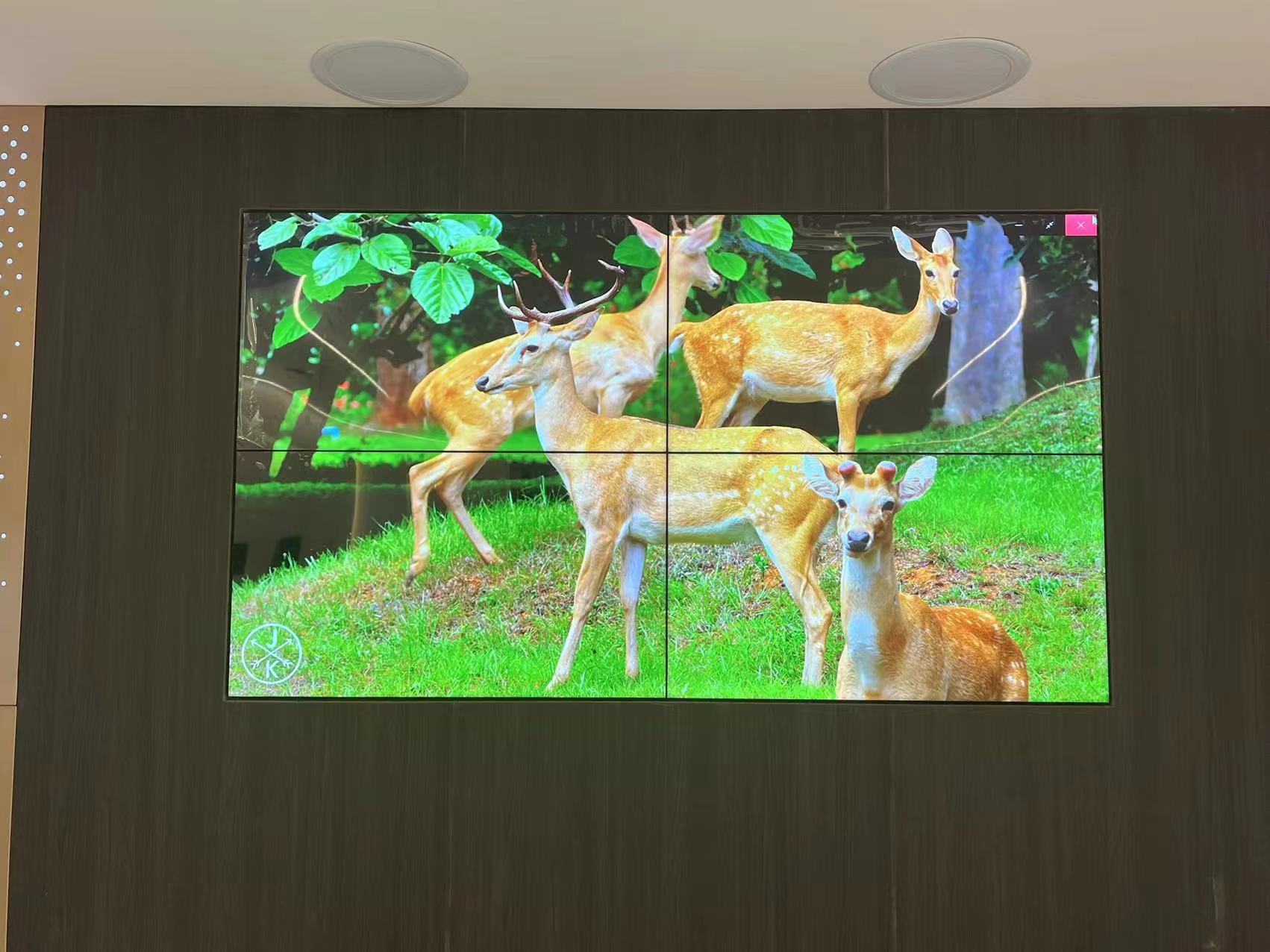 沈阳某单位4块55寸3.5mm拼缝拼接屏